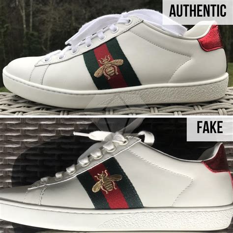 how to tell Gucci ace